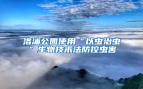 洛浦公園使用“以蟲(chóng)治蟲(chóng)”生物技術(shù)法防控蟲(chóng)害