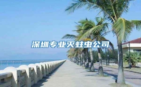 深圳專業(yè)滅蛀蟲(chóng)公司