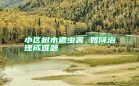 小區(qū)樹(shù)木遭蟲(chóng)害 如何治理成難題